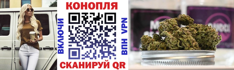 Бошки Шишки SATIVA & INDICA  купить наркотики сайты  Ханты-Мансийск 